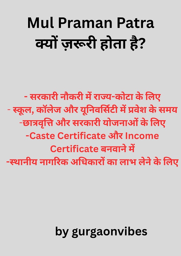 Mul Praman Patra Application in Hindi