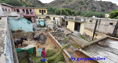 गुरुग्राम इको टूरिज्म हब