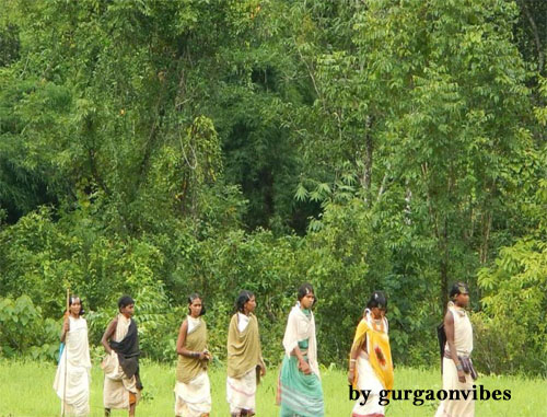 Aravalli Forest Pollution