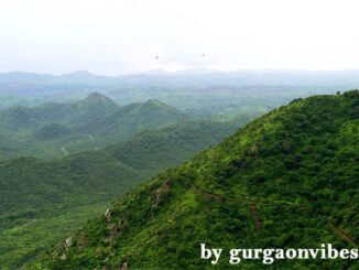 Save Aravalli Delhi NCR