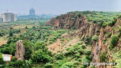 Save Aravalli Delhi NCR