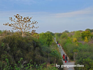 गुरुग्राम इको टूरिज्म हब