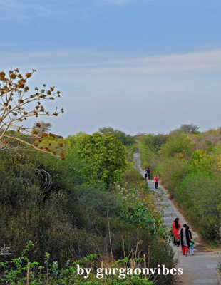 गुरुग्राम इको टूरिज्म हब