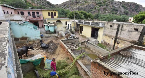 Save Aravalli Delhi NCR