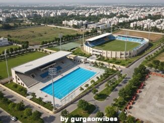 मानेसर नवादा गांव स्टेडियम